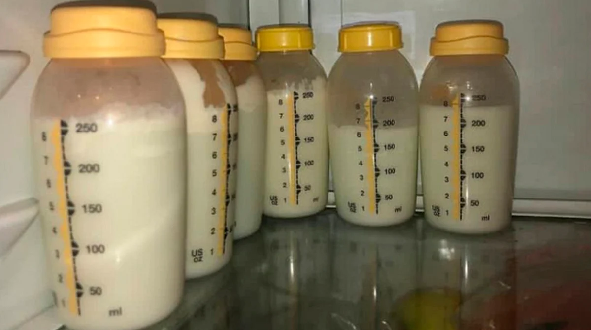 La leche materna es el alimento ideal para los lactantes, dice OMS