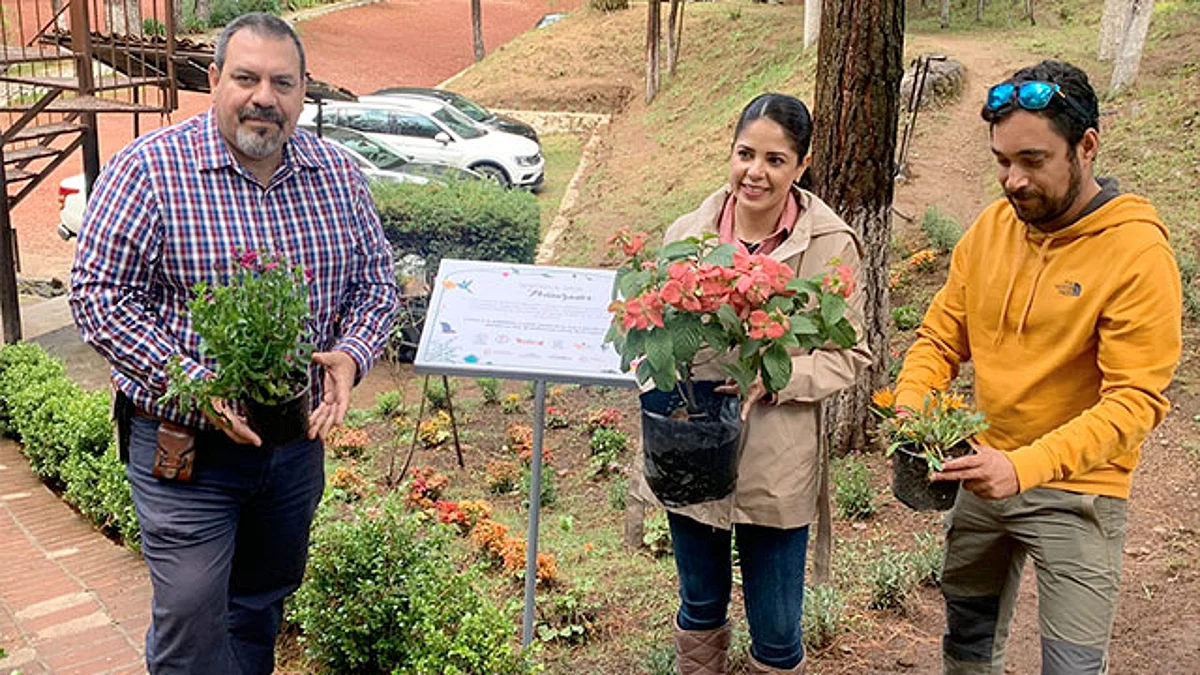 Los trabajos de restauración ambiental han rendido frutos en esta región que se ha convertido en un referente de turismo de naturaleza