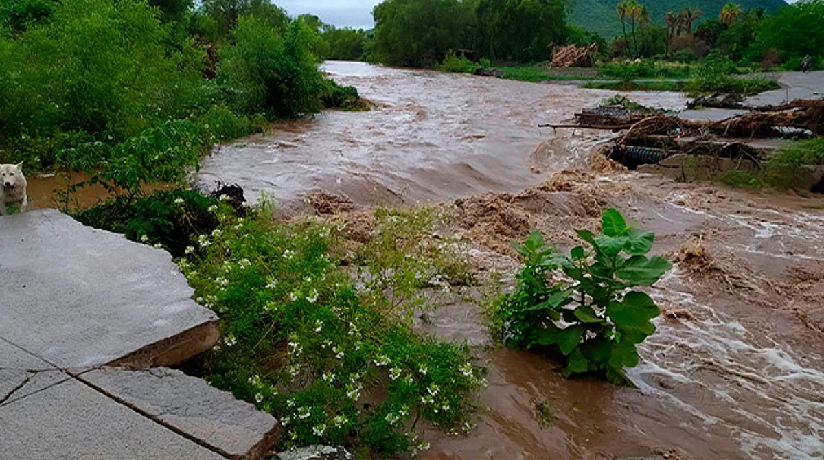 Un año sin soluciones ante destrozo de puente por intensas lluvias en Tepalcatepec