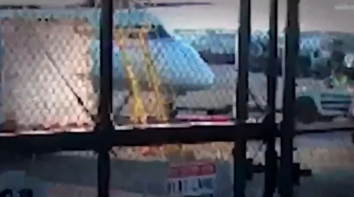 Difunden video de hombre que robó avión para estrellarse en una isla