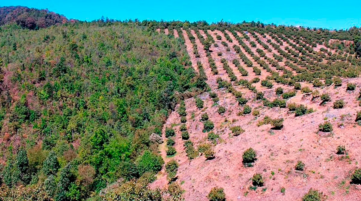 Se requieren cerca de 100 millones de pesos para el mapeo