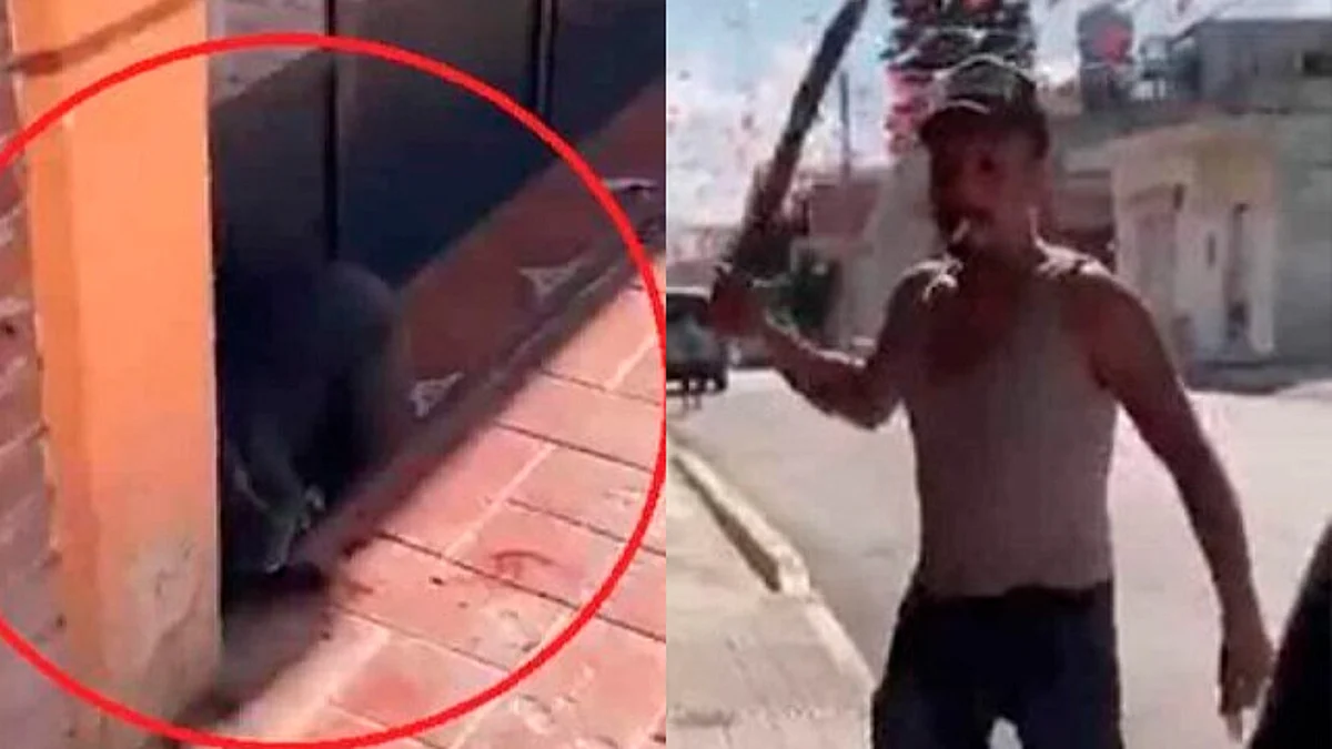 Hombre agrede con machete a perrita en Hidalgo; autoridades investigan