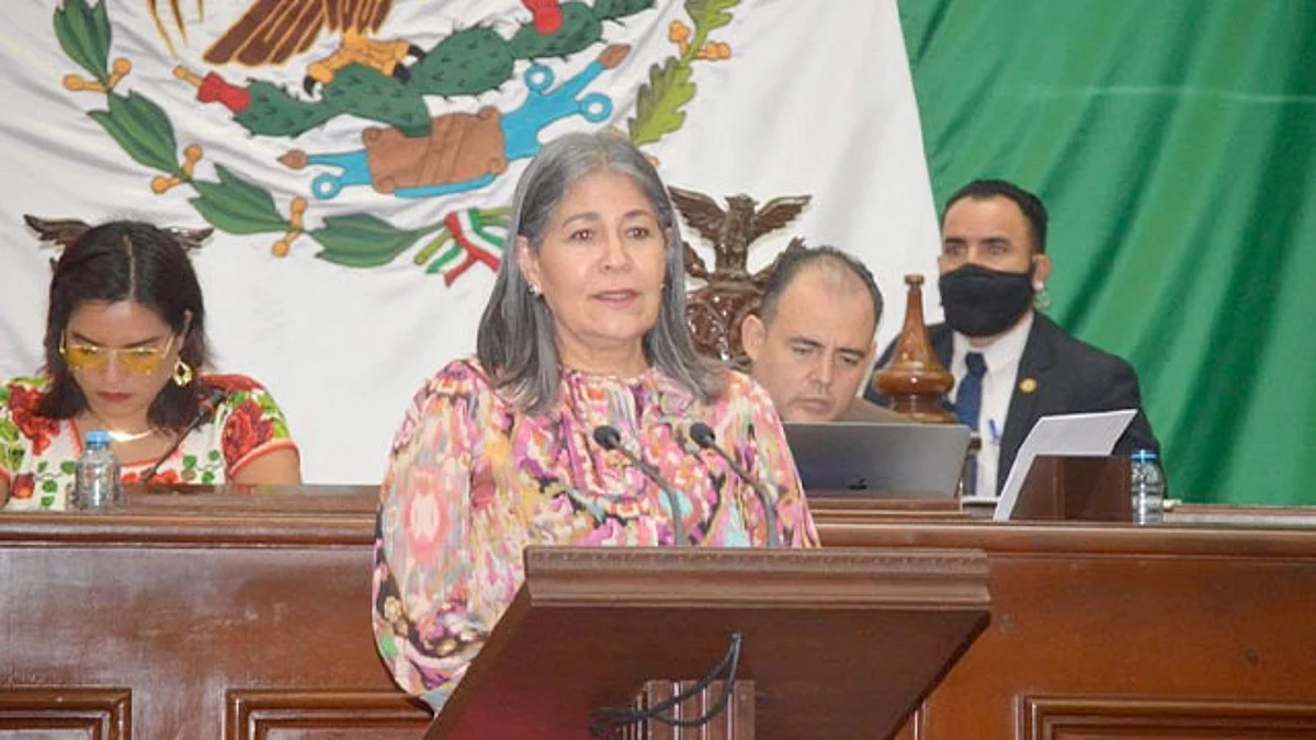 Cancelar de forma definitiva la licencia de conducir por daños graves en accidentes automovilísticos: Mayela Salas