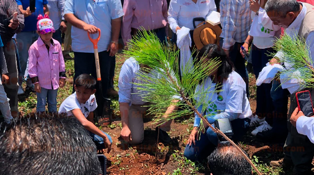 Hasta 20 zonas en Michoacán serán decretadas como de Restauración Ambiental