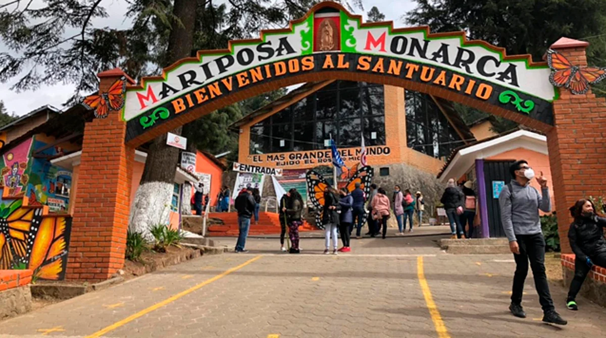 "Iniciamos este centro porque estaban varios puestos en desorden", recuerda Monroy