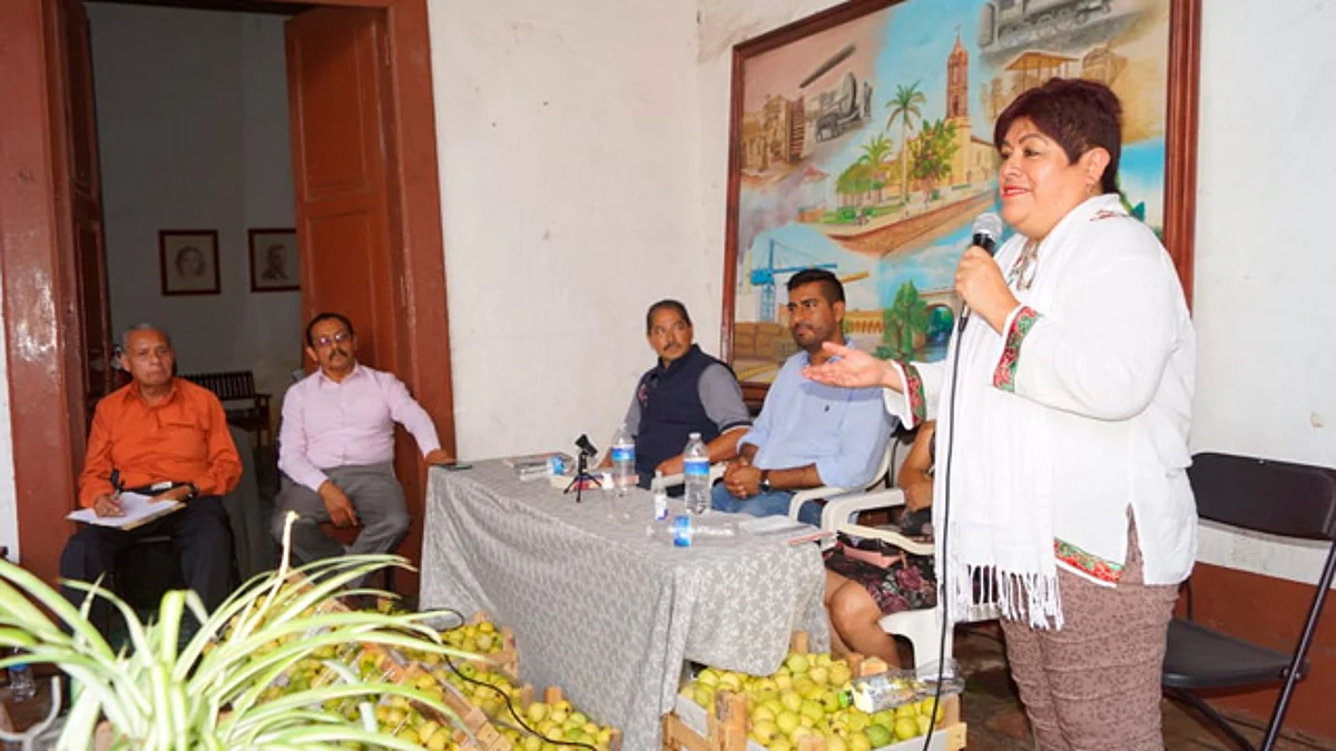Cronistas piden que haya un Consejo de la Crónica en cada municipio de Michoacán