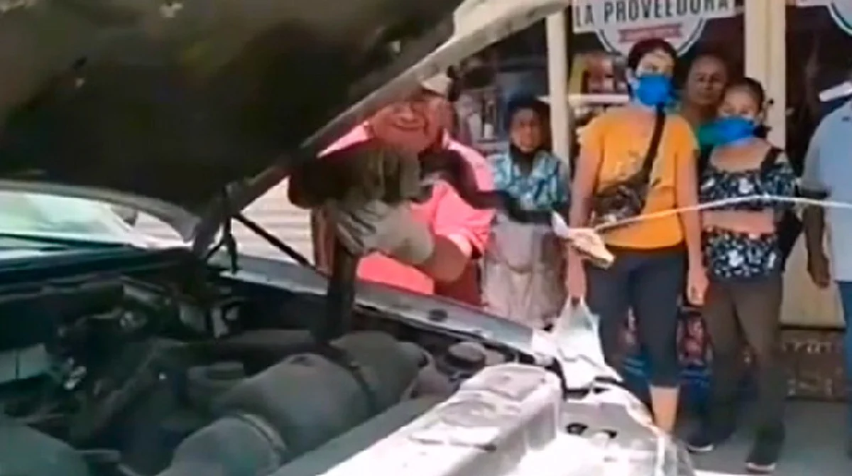 Encuentran serpiente de casi 2 metros en el cofre de una camioneta en Oaxaca