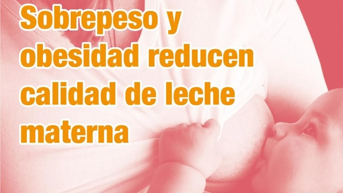 Obesidad reduce calidad de leche materna: LabDO