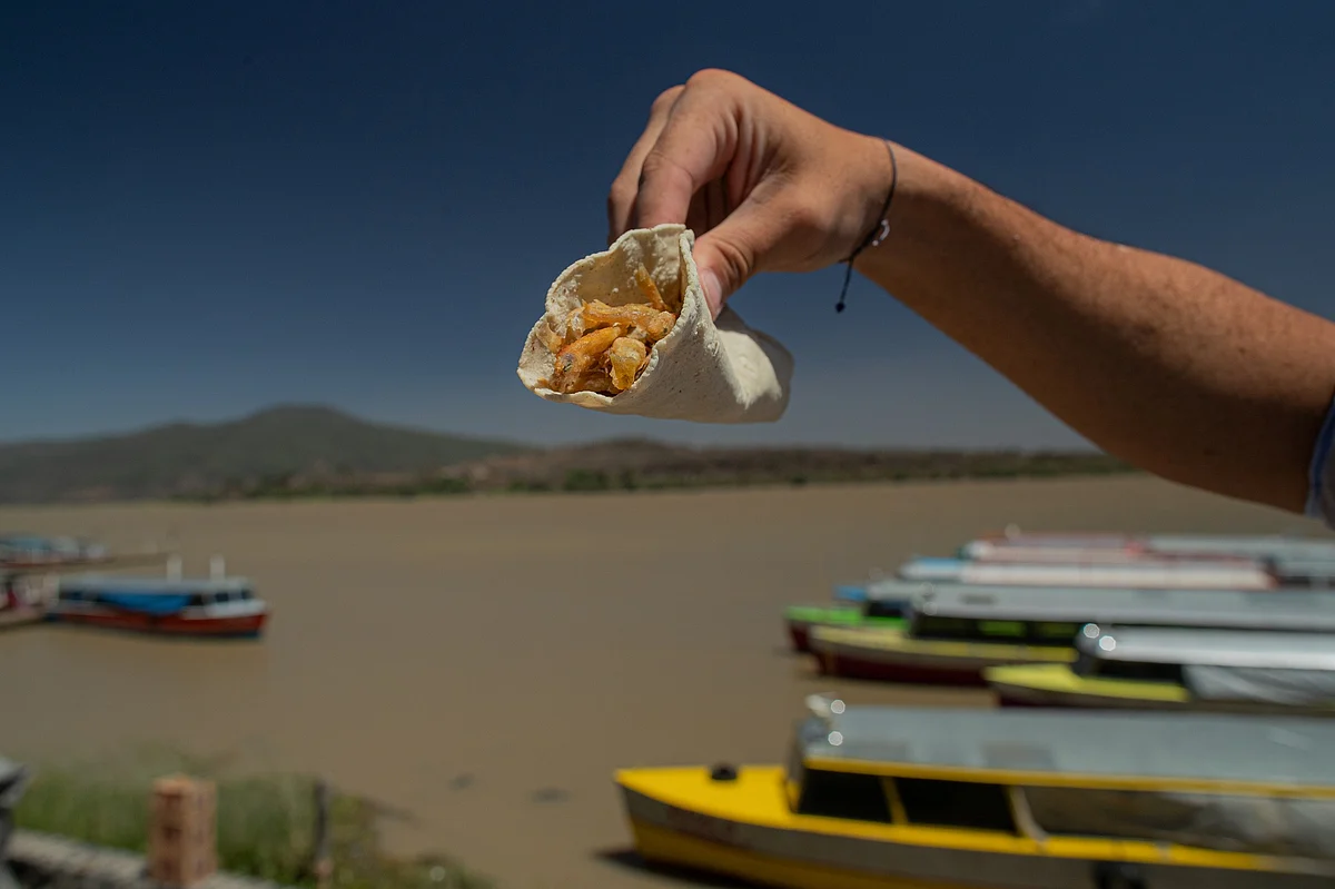 Si busca un buen platillo de pescado puede ir a la localidad de Tzurumútaro perteneciente a Pátzcuaro