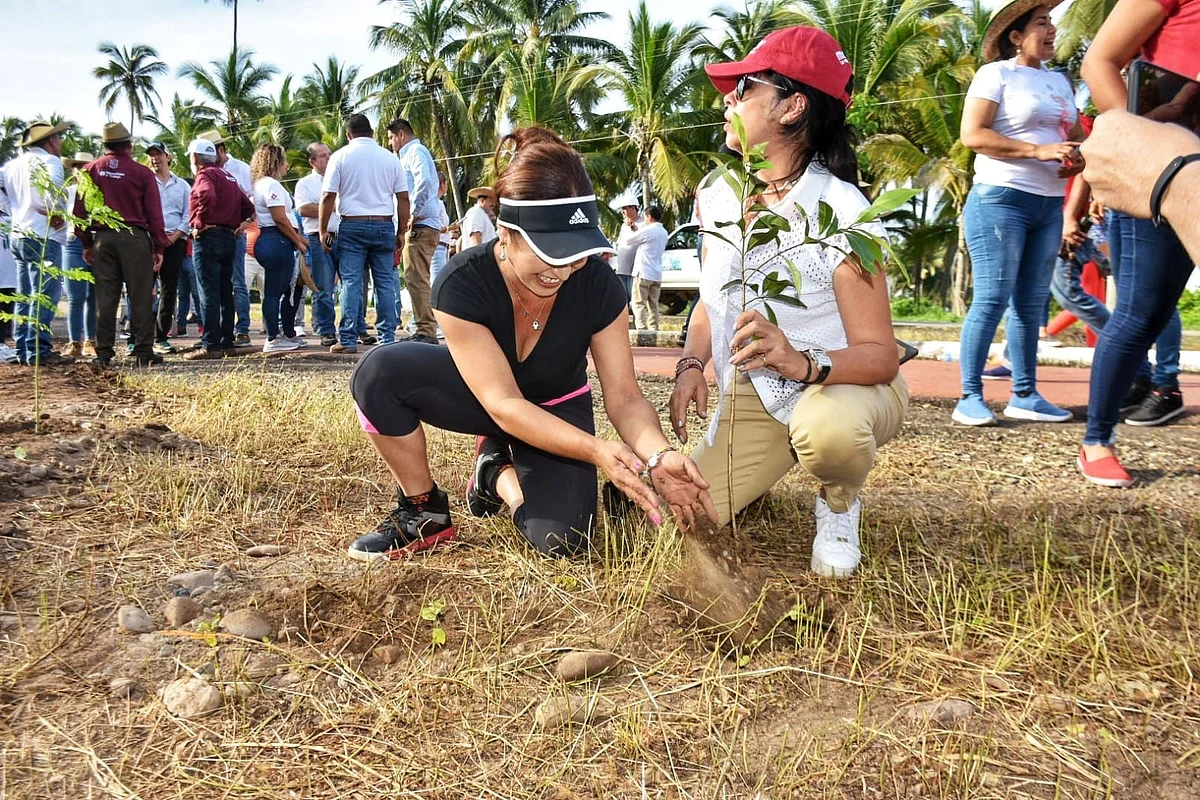 Autoridades de Lázaro Cárdenas reforestan boulevard costero