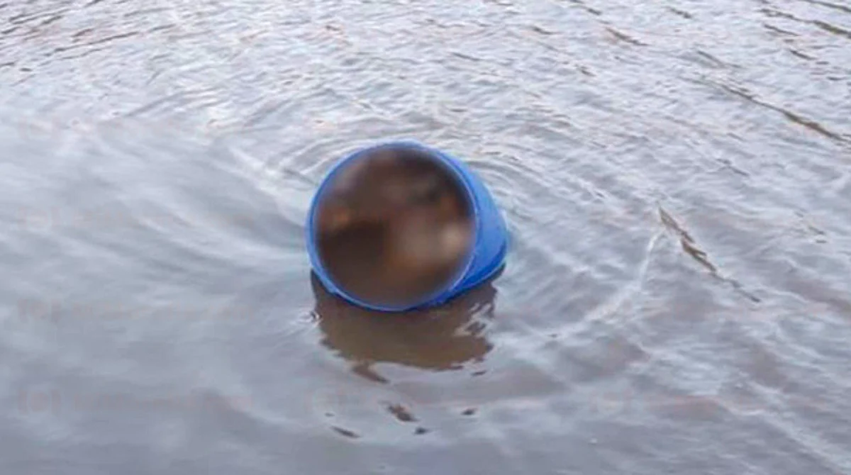Michoacán: hallan hombre desmembrado dentro de un tambo en canal de agua