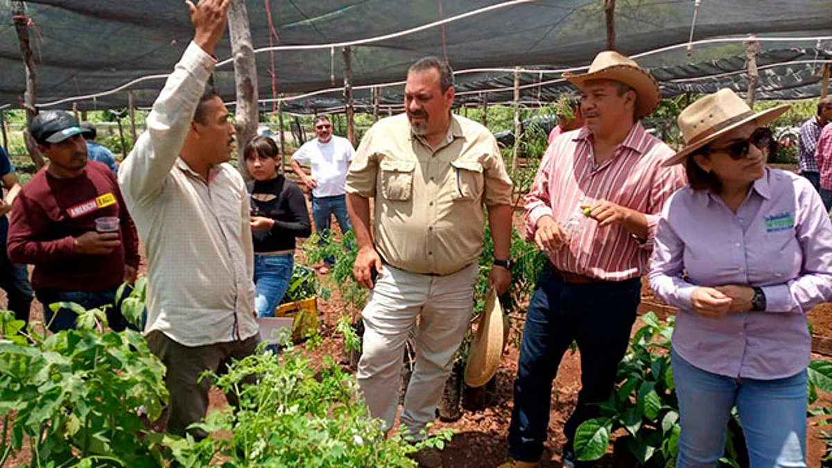 Impulsa SECMA buenas prácticas ambientales en producción de mezcal