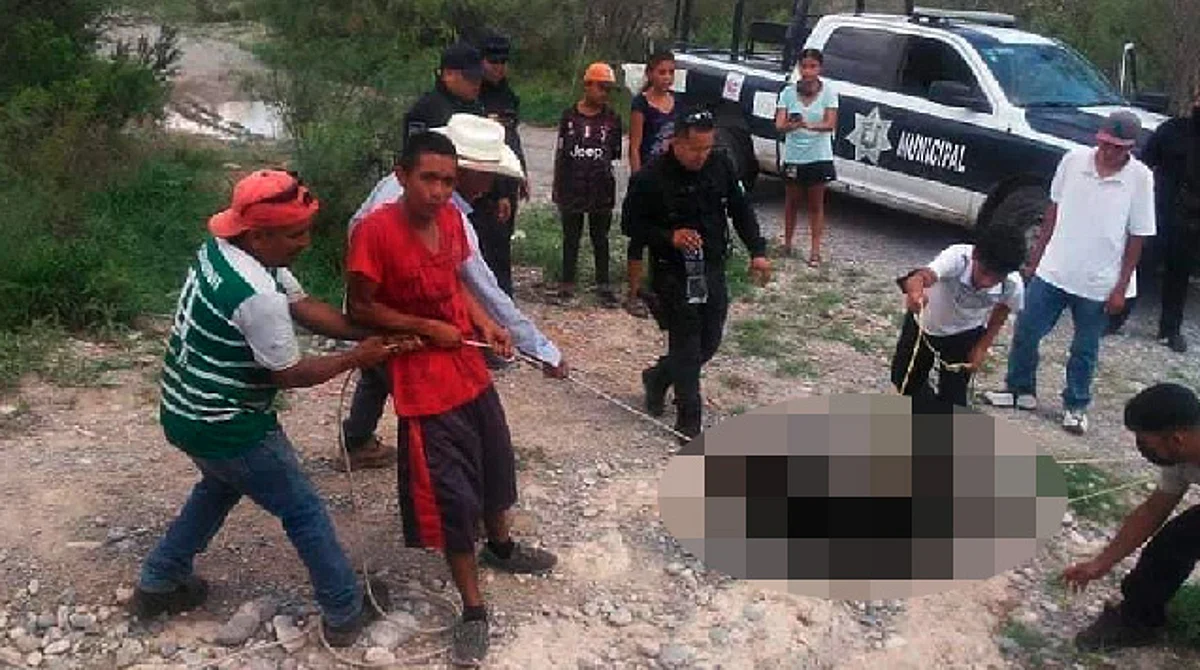 Indignante, pobladores y policías de Coahuila torturan hasta quitarle la vida a osezno