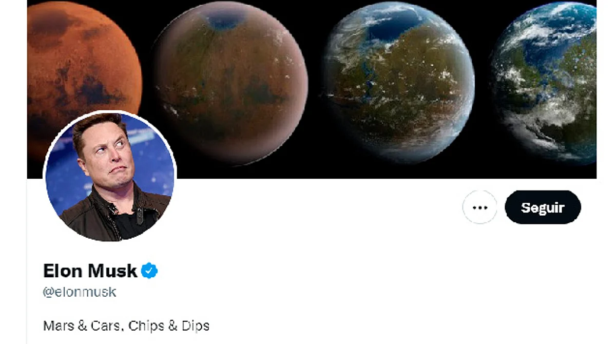 Elon Musk podría tener su propia red social que competiría con Twitter