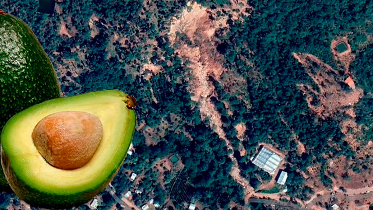 Franja del Aguacate amenaza el patrimonio Cultural de Michoacán