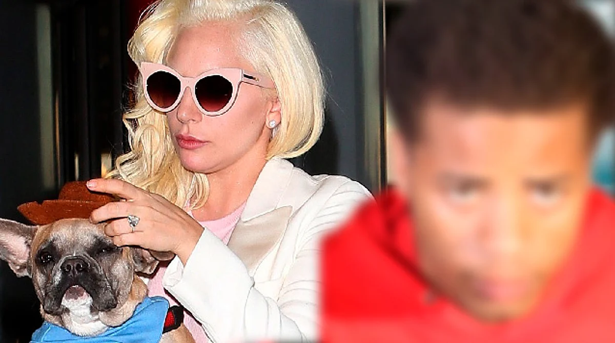 Dan cuatro años de prisión para el secuestrador de perros de Lady Gaga