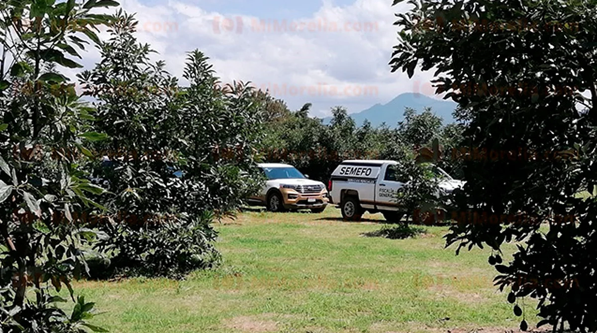 En el área se mantienen acciones de búsqueda