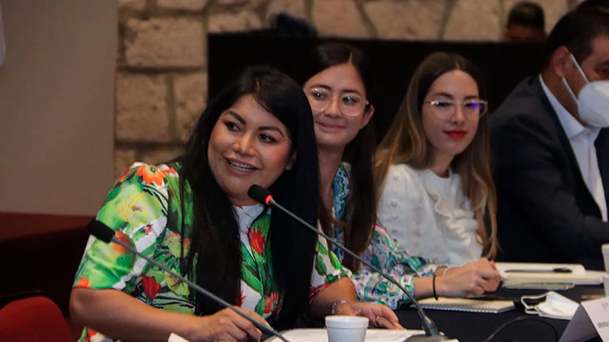 La Semigrante abordó el establecimiento de soluciones duraderas y las garantías de no repetición para las personas en esta situación