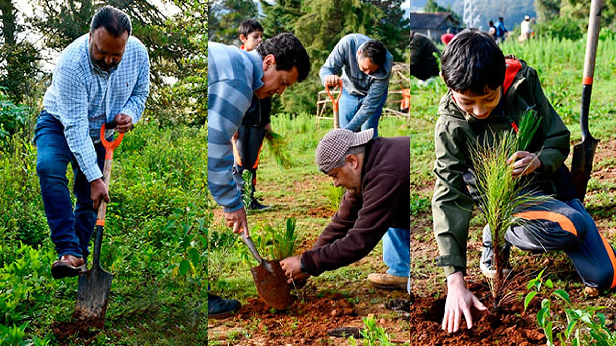 Se conservan las zonas protegidas del municipio