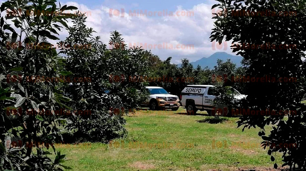 Identifican a 4 de 12 cuerpos hallados en fosas de Caltzontzin; una era ama de casa