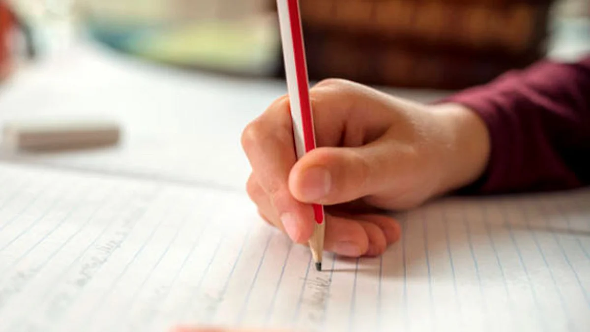 El objetivo es educar en igualdad de condiciones
