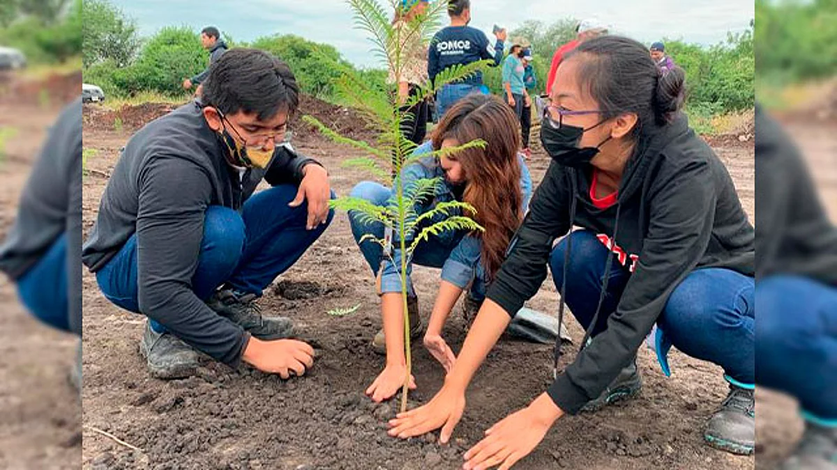 La intención es mejorar las condiciones del parque industrial Villa Avocado