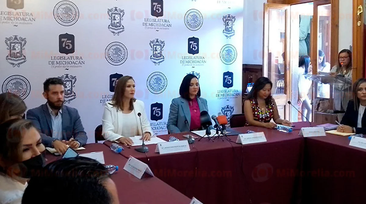Pressia Arifin-Cabo llamó a aumentar el presupuesto para la atención de las niñas, niños y adolescentes
