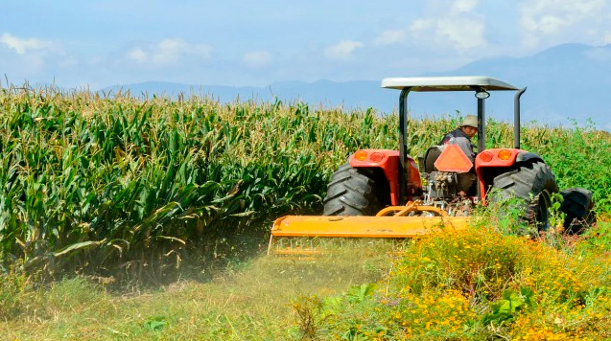 Regresa el Censo Agropecuario del Inegi luego de 15 años en pausa