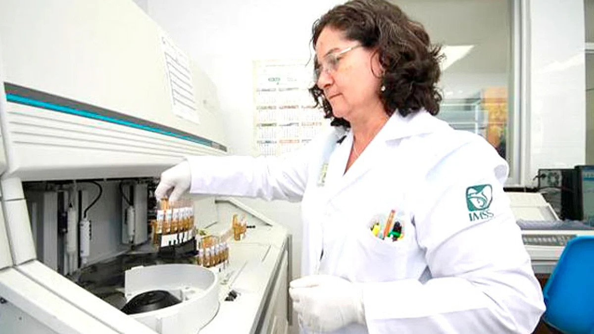La terapia celular más usada en el IMSS es el trasplante de células progenitoras hematopoyéticas o células madre