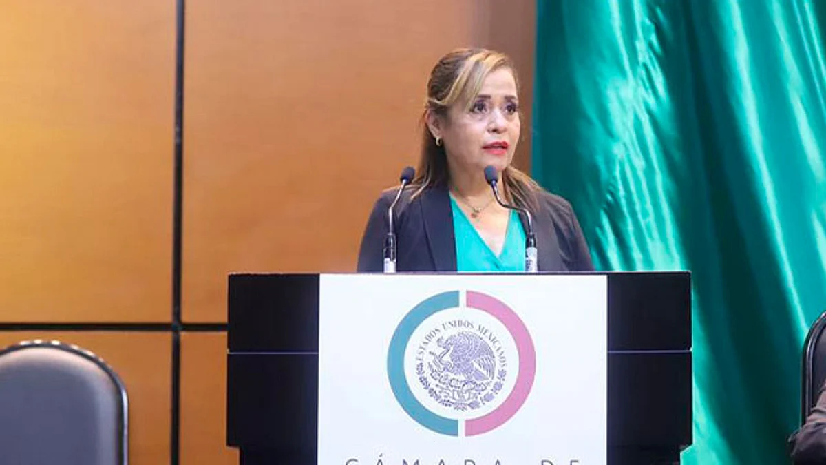 La directora de Prestaciones Médicas, doctora Célida Duque, participó en el conversatorio en materia de trasplante de órganos en la Cámara de Diputados