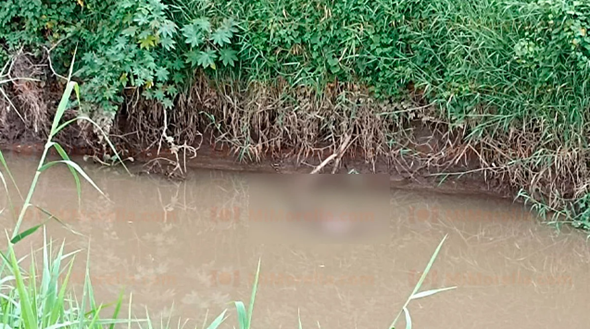 Michoacán: hallan cadáver de mujer en canal de agua de riego