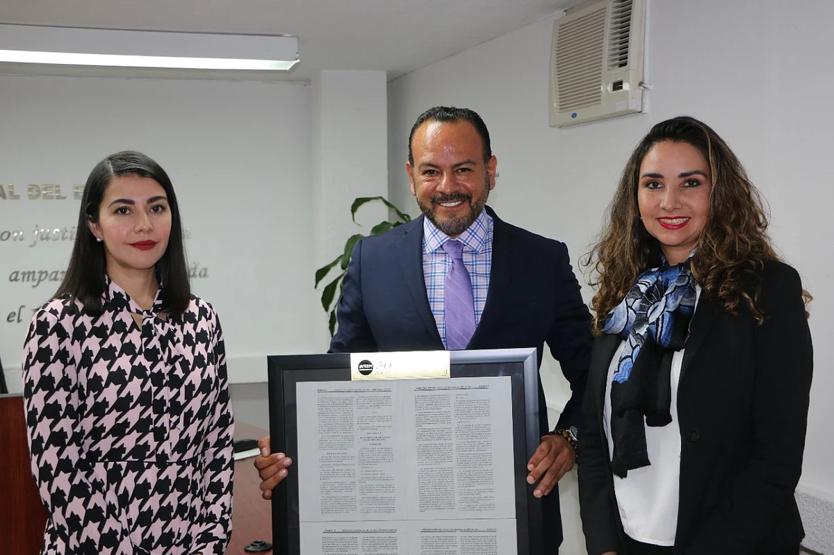 Por unanimidad es Alma Bahena Villalobos la nueva Magistrada Presidenta del TEEMN
