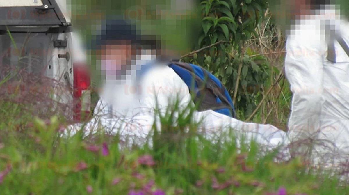 Michoacán: hallan a joven de 26 años asesinado a tiros en cultivo de fresas