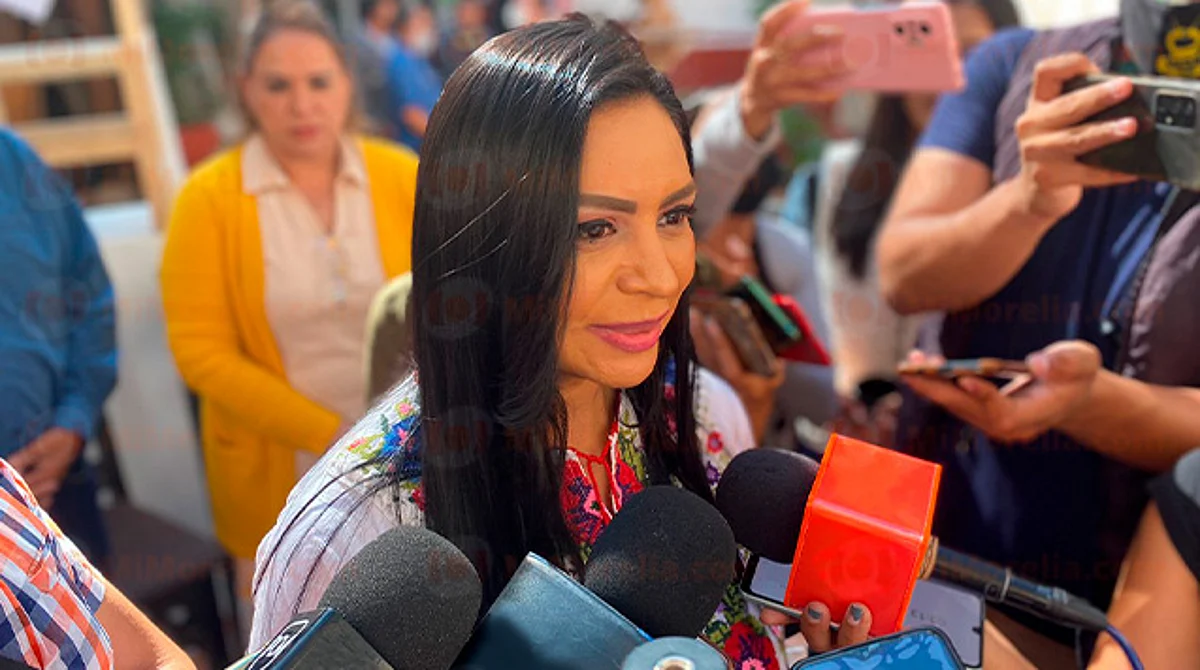 La edil buscará reunirse con el diputado presidente de la comisión de Protección Civil