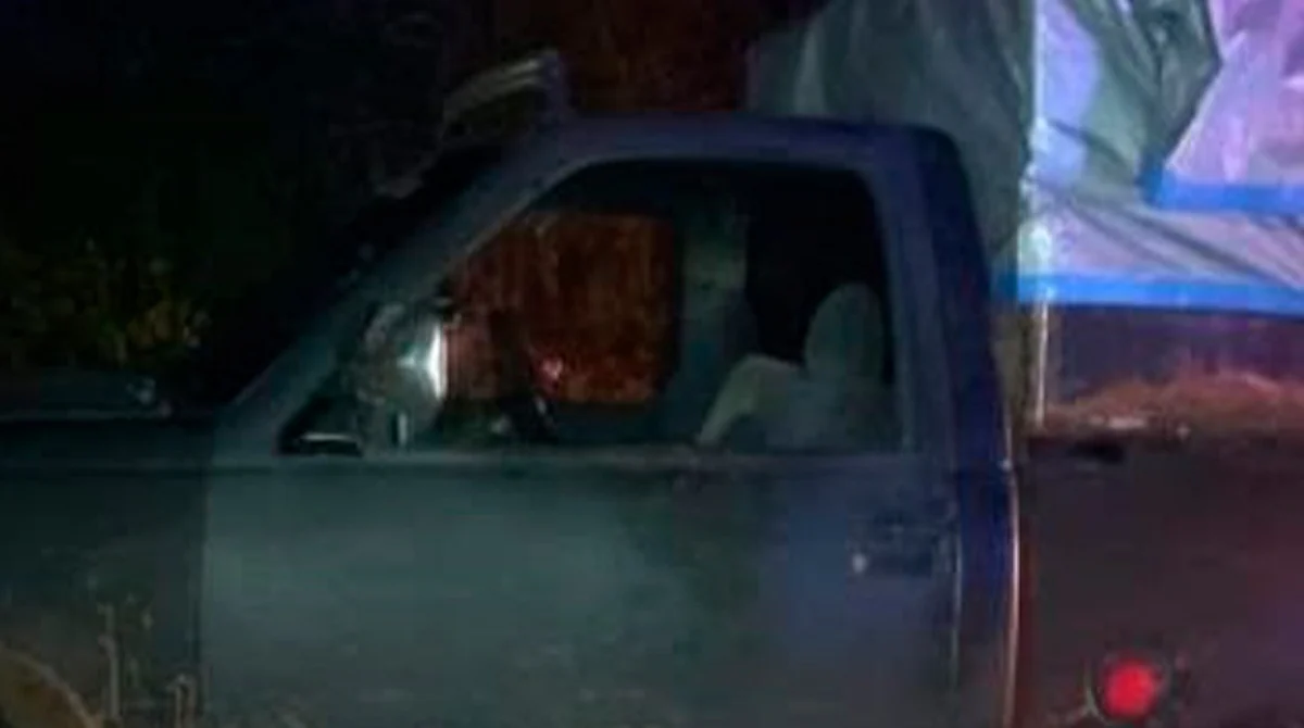 Detienen a 5 hombres con cargamento de madera presuntamente ilegal, en Uruapan