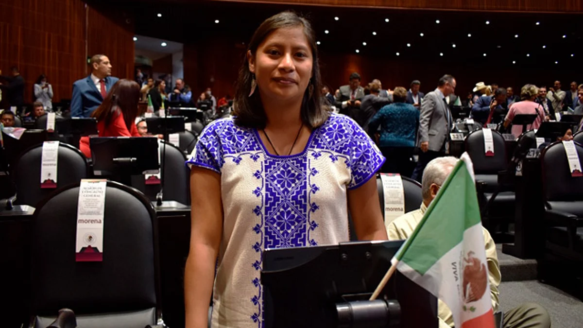 Reitero el compromiso de seguir transformando a México con mi trabajo legislativo: Celeste Ascencio