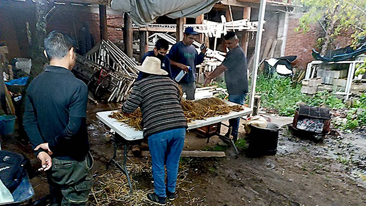 Dicha actividad ayudará a mejorar la economía de más de 30 familias de la región