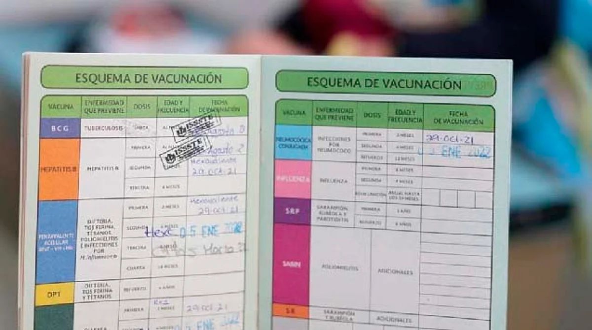 Es un documento oficial y personal para la población mexicana