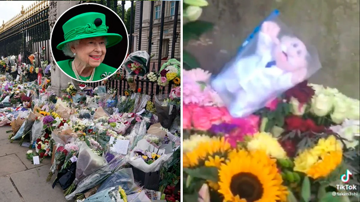 Dejan Dr. Simi como ofrenda a la reina Isabel II