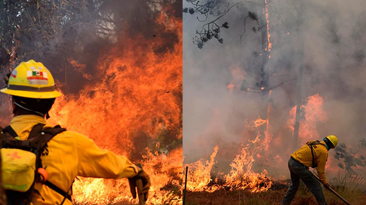 Aún con condiciones climáticas adversas, se lograron mantener por debajo del promedio las afectaciones por fuego forestal