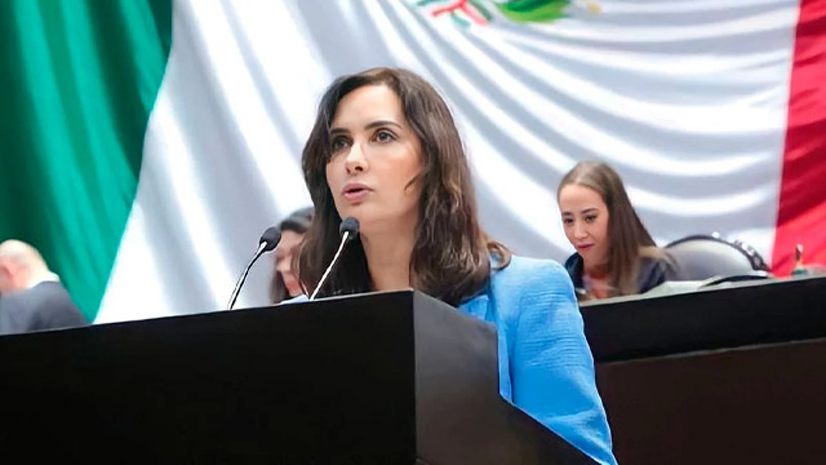 Las fuerzas armadas merecen nuestro respeto y dedicarse a lo que les ha sido encomendado de acuerdo a su formación, señaló