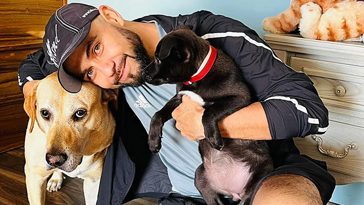 Todo el peso de la ley a quien sea sorprendido envenenando animales: edil