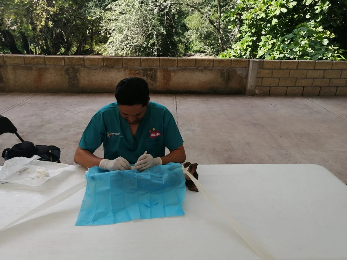 Esteriliza SSM 40 felinos y caninos en Carácuaro