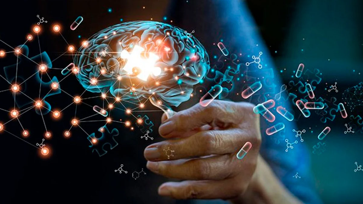 Alto consumo de grasas podría asociarse con Alzheimer