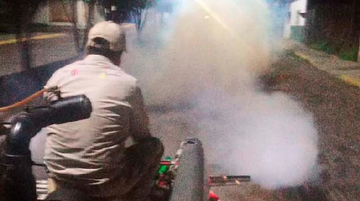 Durante las lluvias los mosquitos proliferan
