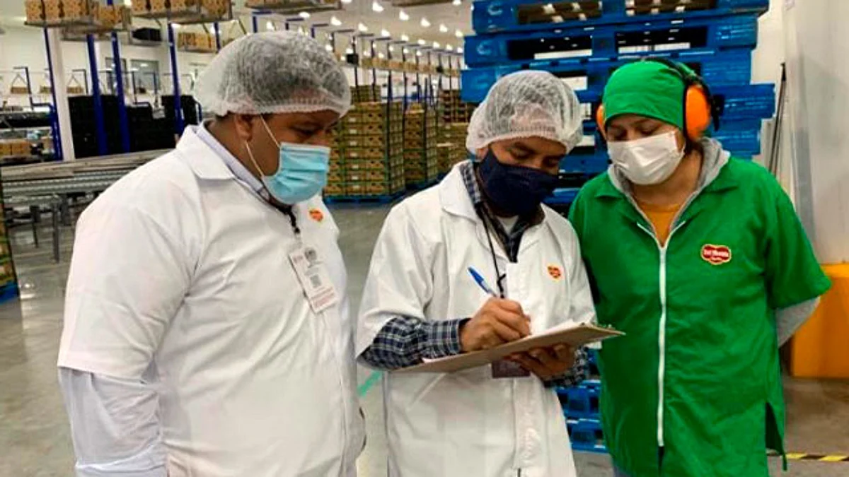 Esta acción se realizó en tres etapas entre los meses de marzo, mayo y julio del 2022