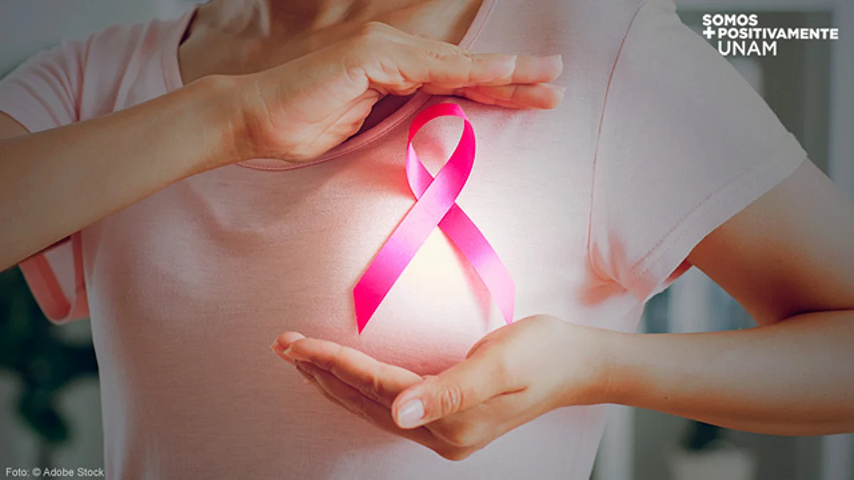 El Día Internacional de lucha contra el Cáncer de Mama se conmemora el 19 de octubre