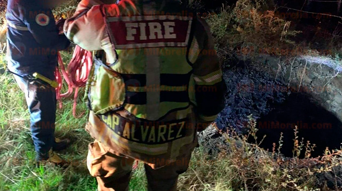 Unos habitantes reportaron la situación al número de emergencias