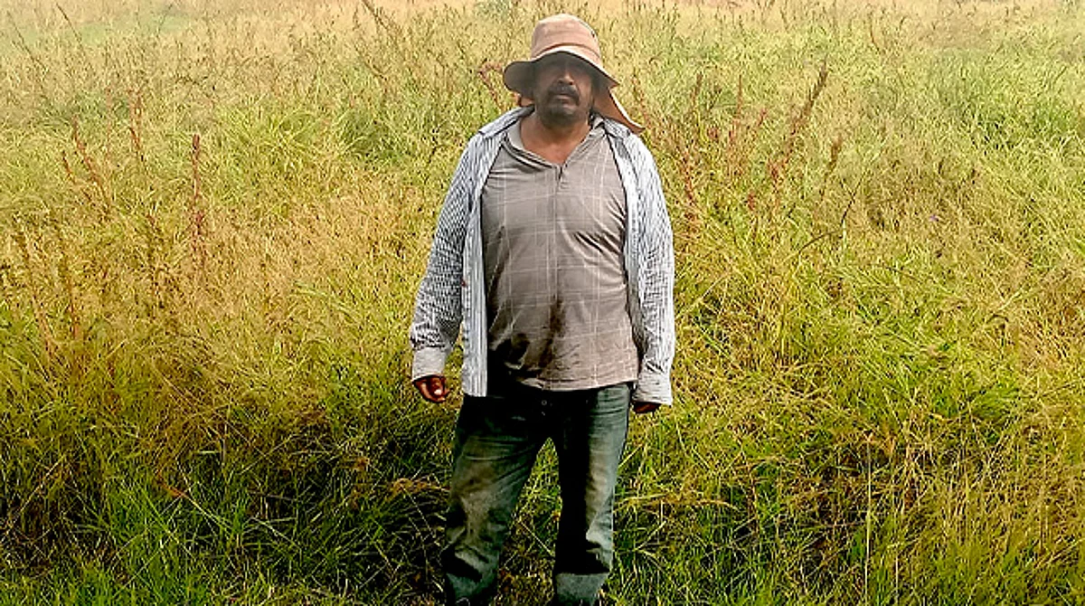 Ejidatarios de Cuparátaro denuncian abandono de autoridades ante perdida de cultivos