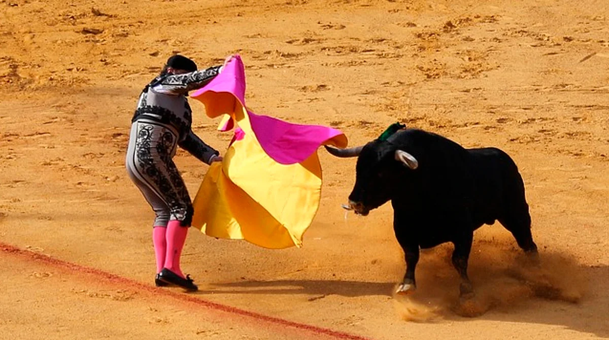 Seguiré insistiendo hasta que se prohíba tauromaquia en Michoacán: Mayela Salas